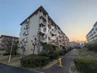 中落合第一住宅 454号棟の画像