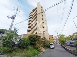 ST HILLSの画像