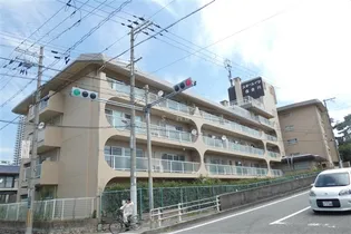 スターハイツ住吉川の画像