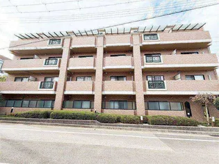 セレナ東甲子園の画像