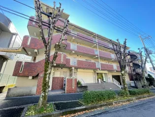 メゾンドフロールの画像