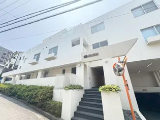 はなみずきの画像