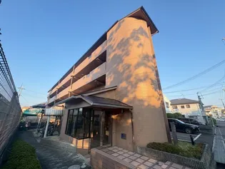 柿の木ハイツ【402号室】の外観