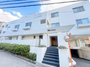 ハセはなみずきの画像