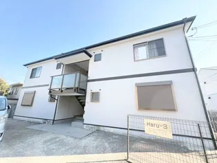 HARUー3の画像