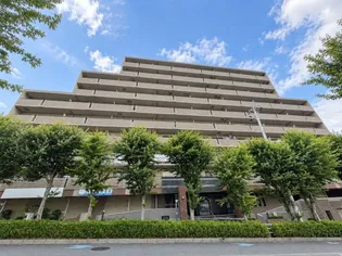グラシュー森の画像