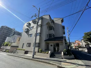 プリメーラリヨンの画像