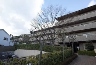 フォリア岡本の画像