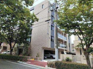 ZELKOVA ASHIYAの画像