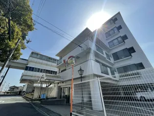 ダンディライオン住吉川の画像