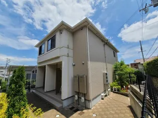 プレンデトワール五毛の画像