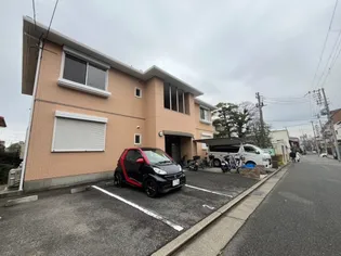 ペリウィンクルの画像