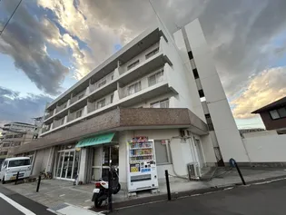 スミノマンション【3階】の外観