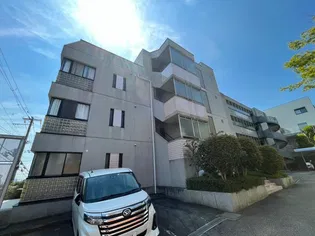 アビタ コシキイワの画像