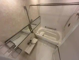 パークホームズ夙川松下町【3階】の風呂