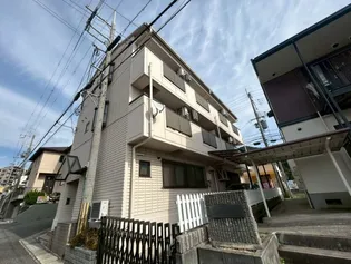 パールエッグクノキの画像