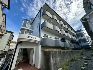 エヴァンスIIの画像