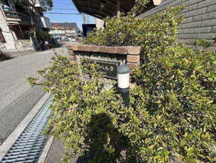 メゾンリベルタのその他画像