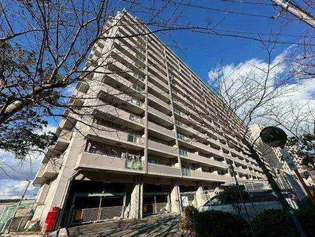 ウインヒルズジェームス山の画像