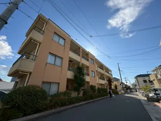 ワコーレヴィータ五色山の画像