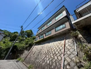 ハイツイフの画像