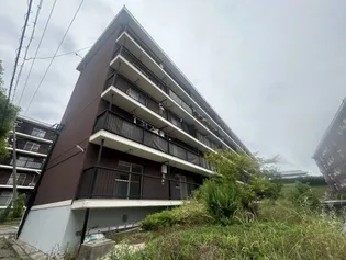 高津橋農住団地D棟の画像