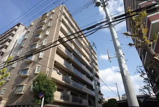 ワコーレファラオ本山の画像