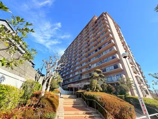 ルネ須磨の画像