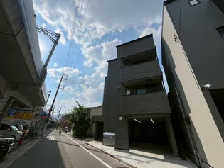 コートデイジーの画像