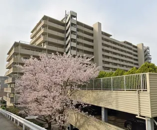 リブコートフェリスガーデン垂水の画像