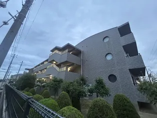 マウンティン ツーの画像