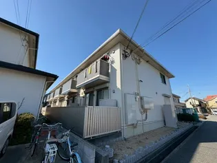 キャンフル ローレルの画像