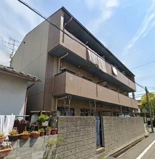 シャルマンの画像
