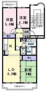 メゾン石在【1階】の間取り