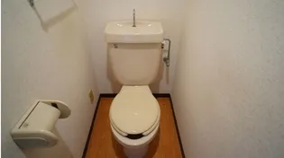 長谷川マンション2【102号室】の内装