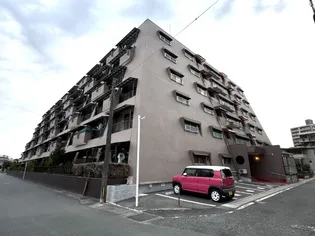 シャトー白山【510号室】の外観