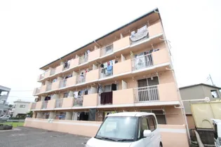 リトルハイム長岡61号館【4階】の外観