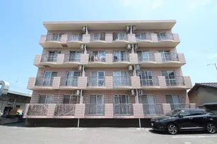 リシェス明日香【4階】の外観