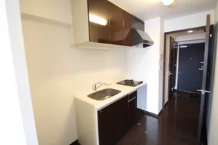 OWLSTYLE NISHIKIMACHI Ⅱ【9階】のキッチン