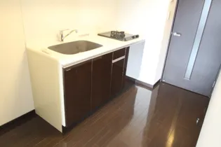 OWLSTYLE NISHIKIMACHI Ⅱ【9階】のキッチン