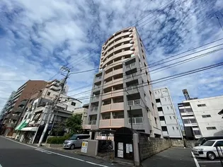 シャトー日興【8階】の外観