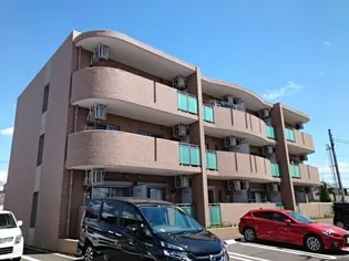 サザンクロスの画像