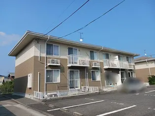 サニースポットBの画像