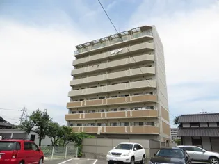 カーサフィオーレ西市駅前【5階】の外観