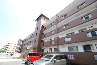 インペリアルハイツ今【4階】の外観