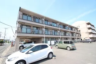 岡山県岡山市北区下中野【マンション】の外観