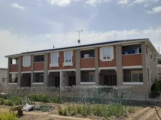 アモーレの画像