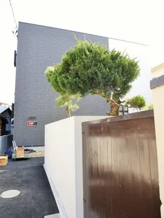 IBIZA津島南【1階】の外観