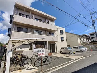 ラウファレ エイエスエイの画像