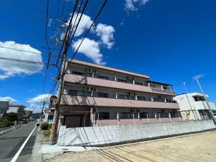 レディースキャステルの画像